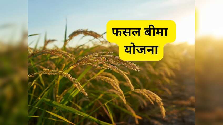 किसानों के लिए बड़ी खबर! आज से शुरू हो रहा है फसल बीमा सप्ताह, खरीफ फसलों का बीमा कराएं, आय सुरक्षित करें