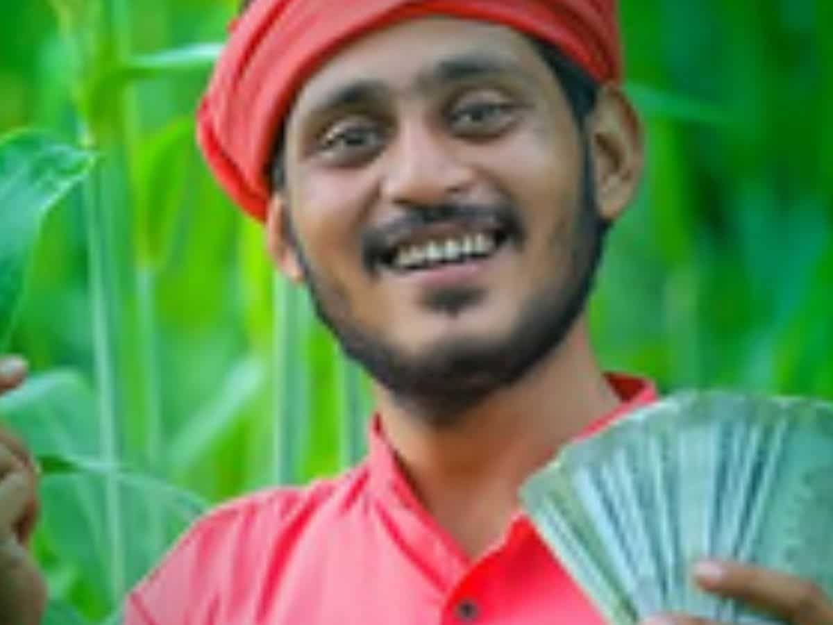 मुख्यमंत्री किसान सम्मान निधि योजना: आपके खाते में 1 हजार रुपये आए या नहीं, ऐसे करें चेक