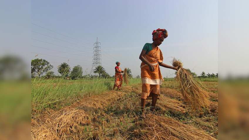 22 लाख से ज्यादा किसानों को मोदी सरकार का बड़ा तोहफा, रबी सीजन में खाते में आएं सीधे 61 लाख करोड़ रुपये