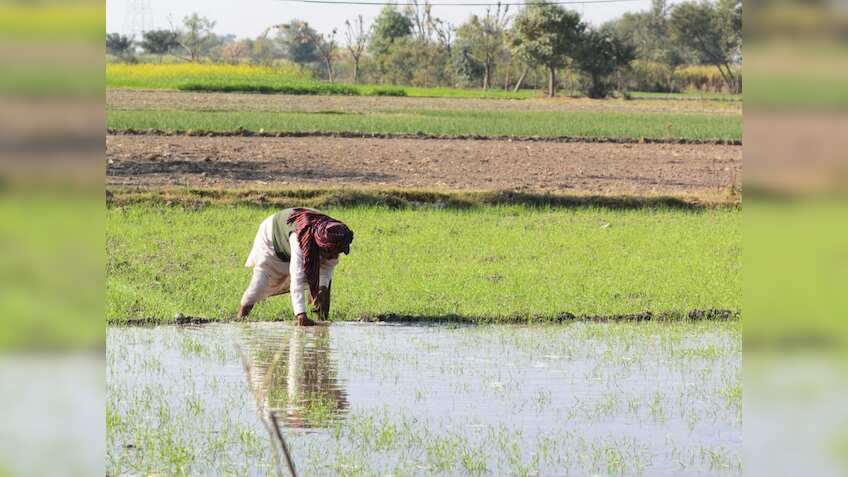 खुशखबरी! सरकार शुरू करेगी योजना AGR-2, किसानों को आधी कीमत पर मिलेगी खाद