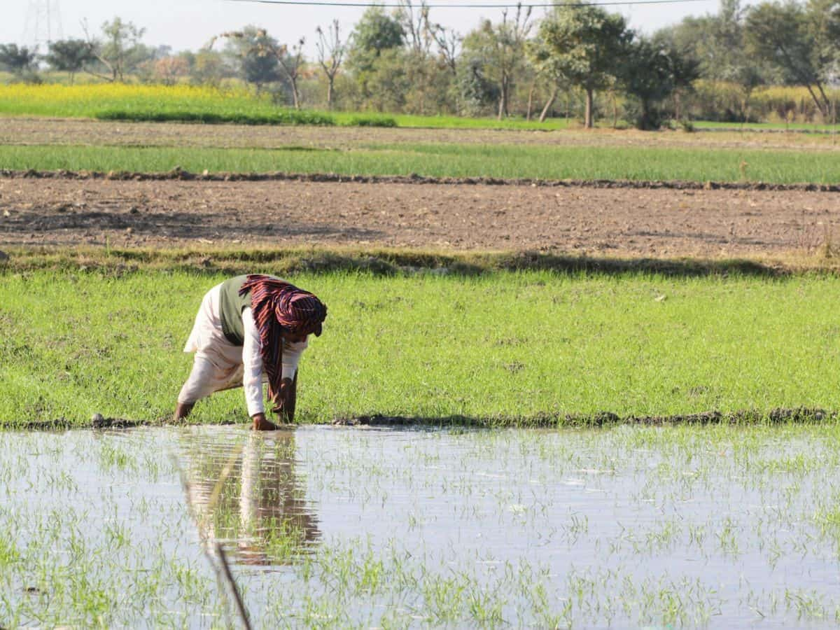 खुशखबरी! सरकार शुरू करेगी योजना AGR-2, किसानों को आधी कीमत पर मिलेगी खाद