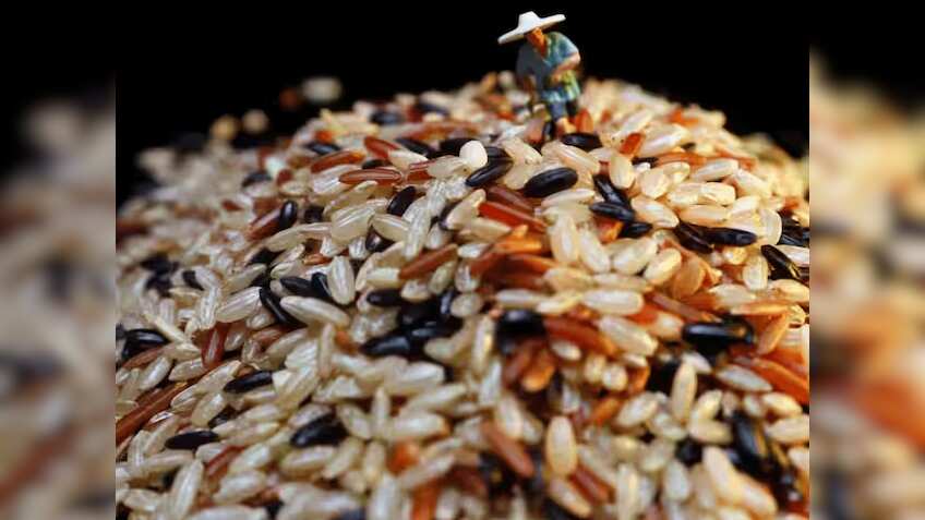 कालानमक धान से किसानों की हो रही तगड़ी कमाई, जानिए कैसे पीएम मोदी और यूपी सीएम योगी ने इसे कर दिया फेमस