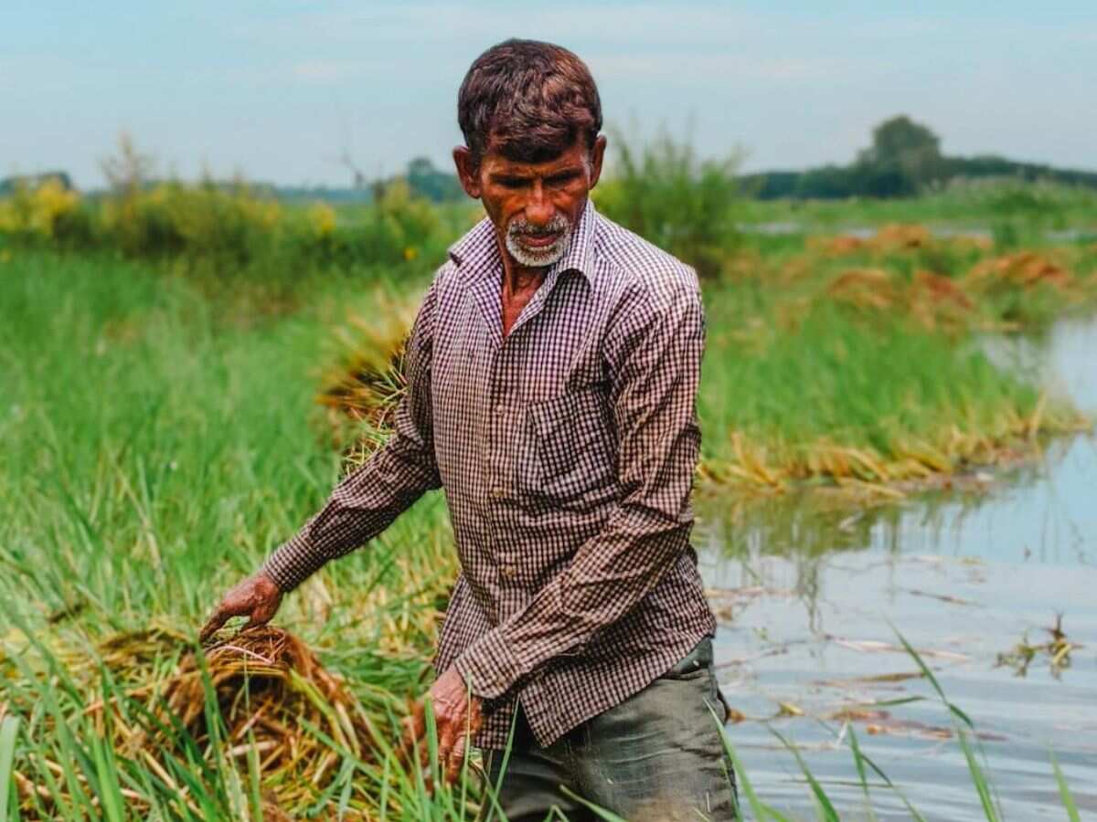 उत्पादन में गिरावट