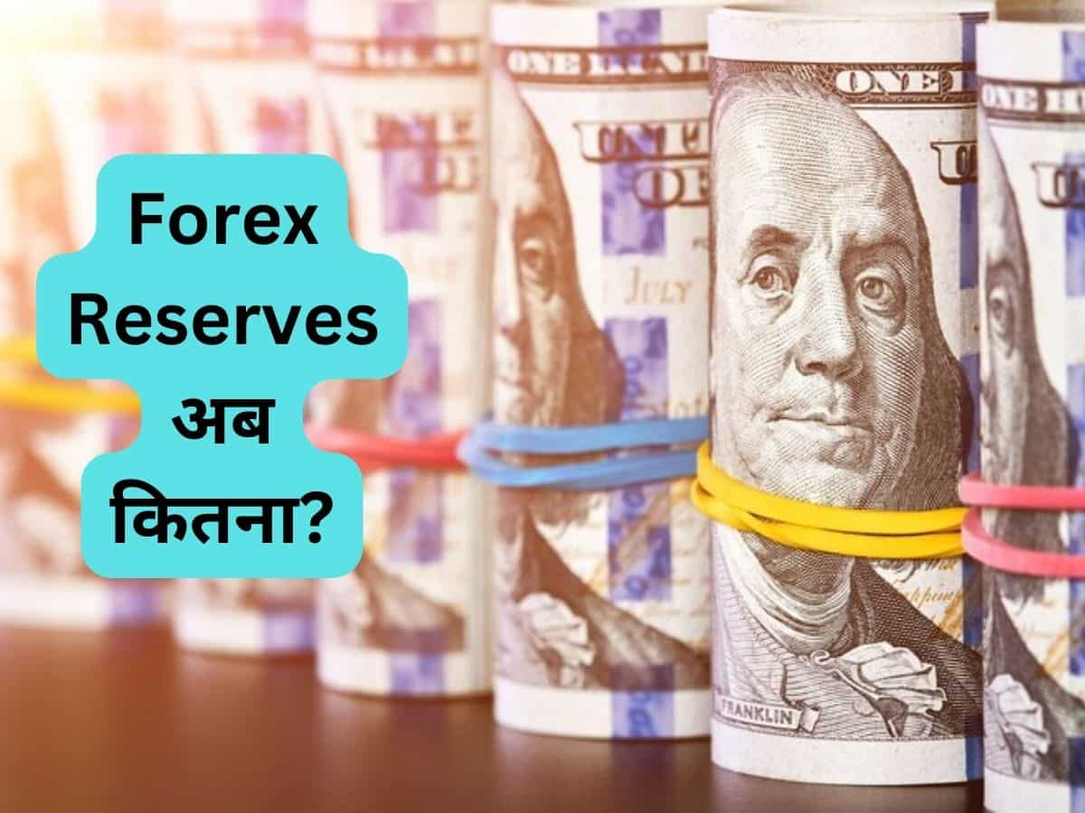 Foreign Reserves में आया 5 अरब डॉलर का बड़ा उछाल, न्यू हाई पर पहुंचा रिजर्व