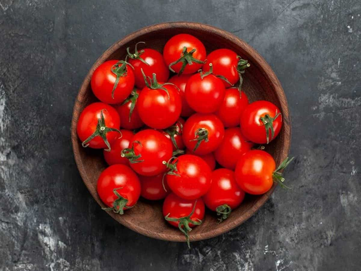 Tomato Price: जल्द ही सस्ता होने वाला है टमाटर, एक सरकारी अधिकारी ने खुद बताई है वजह, आप भी जानिए