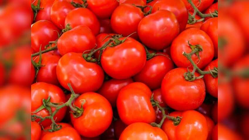 3 हफ्ते तक खराब नहीं होती है टमाटर की ये 2 किस्में, इसकी खेती कीमतों में बढ़ोतरी पर लगा सकती है लगाम, जानिए डीटेल