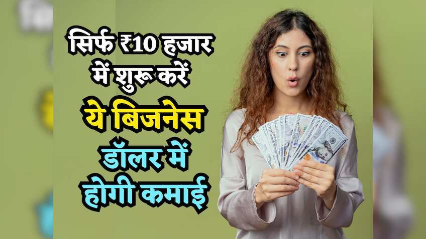 सिर्फ ₹10 हजार में खुद का Business शुरू करने का मौका दे रहा ये Startup, घर बैठे-बैठे डॉलर में होगी कमाई