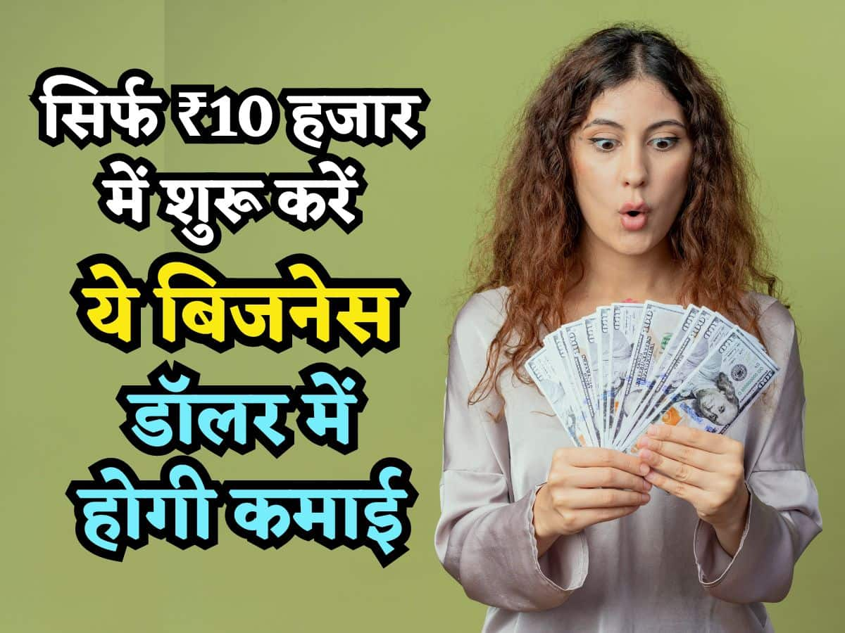 सिर्फ ₹10 हजार में खुद का Business शुरू करने का मौका दे रहा ये Startup, घर बैठे-बैठे डॉलर में होगी कमाई