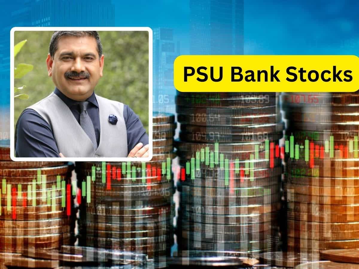 मिडकैप PSU Bank Stocks में रहें अलर्ट, अनिल सिंघवी ने जताई यह बड़ी चिंता