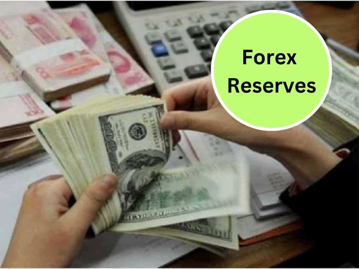 Foreign Exchange Reserves में आया बड़ा उछाल, न्यू रिकॉर्ड हाई पर पहुंचा