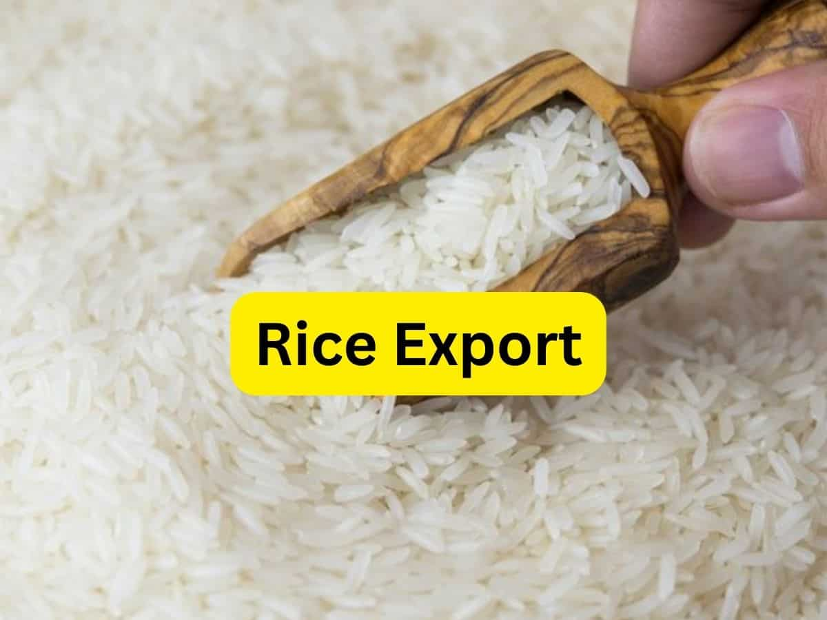 Rice Export: नामीबिया को 1,000 टन गैर-बासमती सफेद चावल होगा एक्सपोर्ट, सरकार ने दी मंजूरी