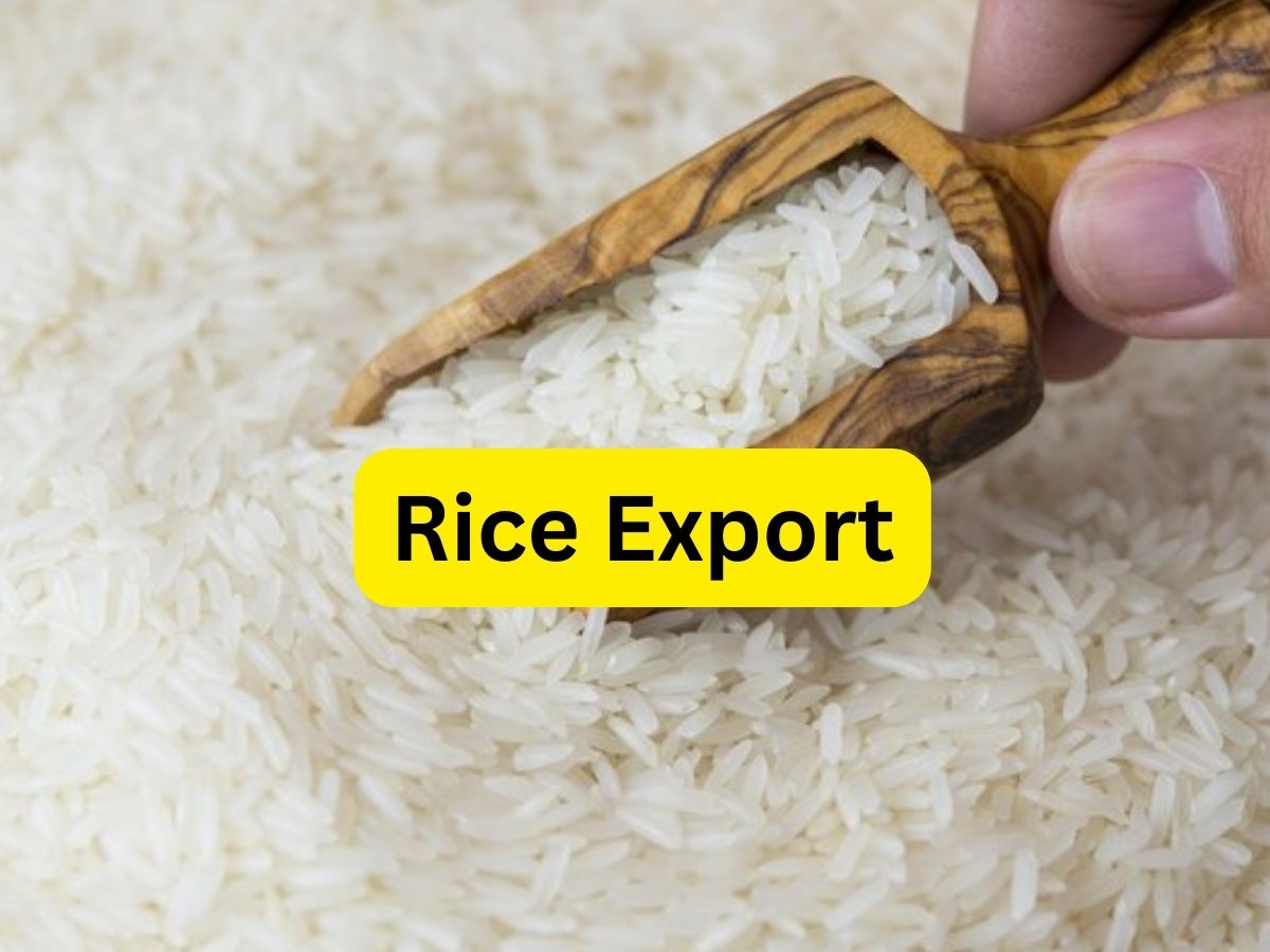 Rice Export: नामीबिया को 1,000 टन गैर-बासमती सफेद चावल होगा एक्सपोर्ट, सरकार ने दी मंजूरी