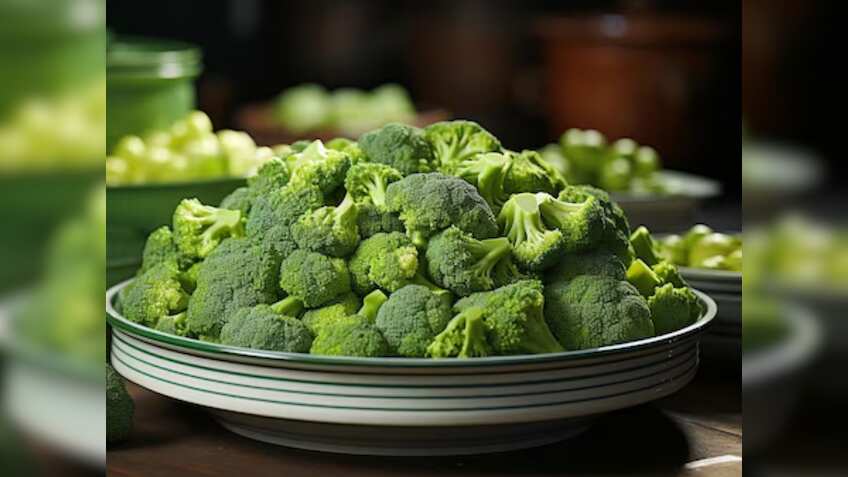 केवीके ने दी ट्रेनिंग