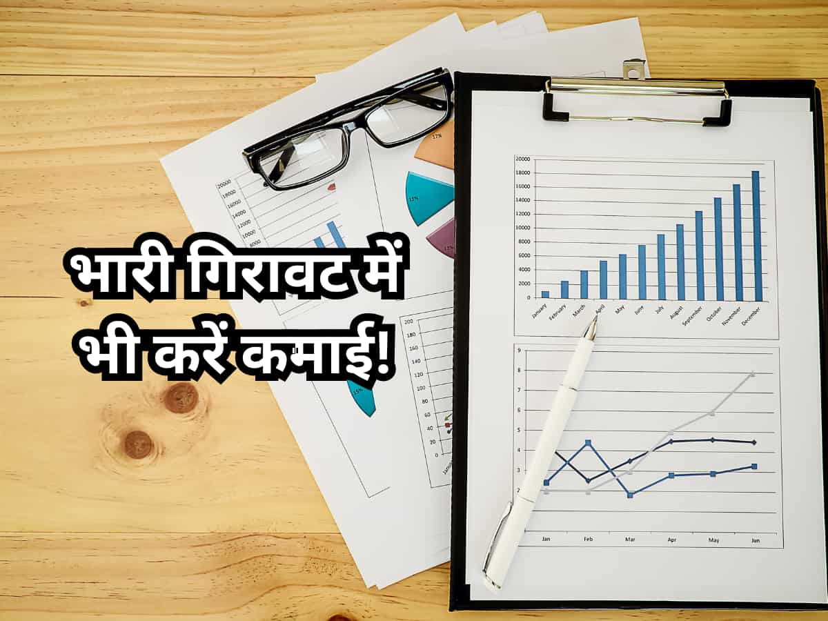 Stock Market Crash में चमकेगा जीरो डेट कंपनी वाला ये फार्मा स्टॉक! एक्सपर्ट बुलिश, निवेशकों को दी ये राय