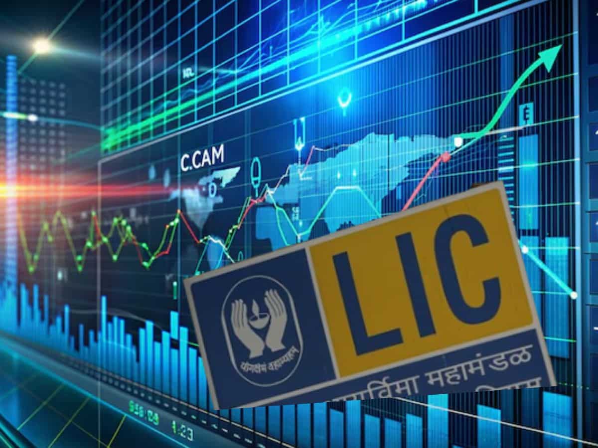 LIC ने पहली बार इन 11 Stocks में की खरीदारी, Q1 में खरीदे ₹17000 करोड़ के शेयर