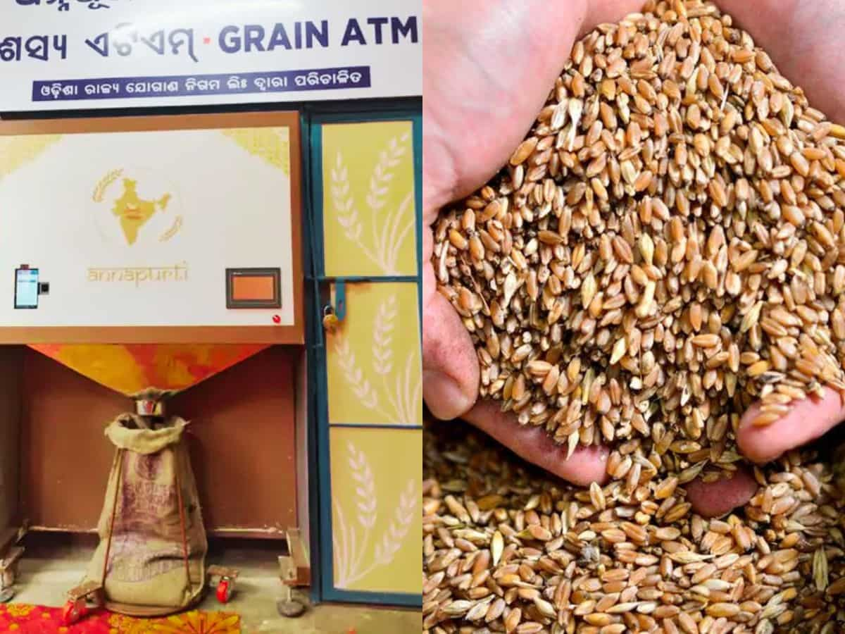 Grain ATM: पैसा नहीं, अनाज उगलती है ये मशीन, 5 किलो में भर देगी 50 किलो की बोरी