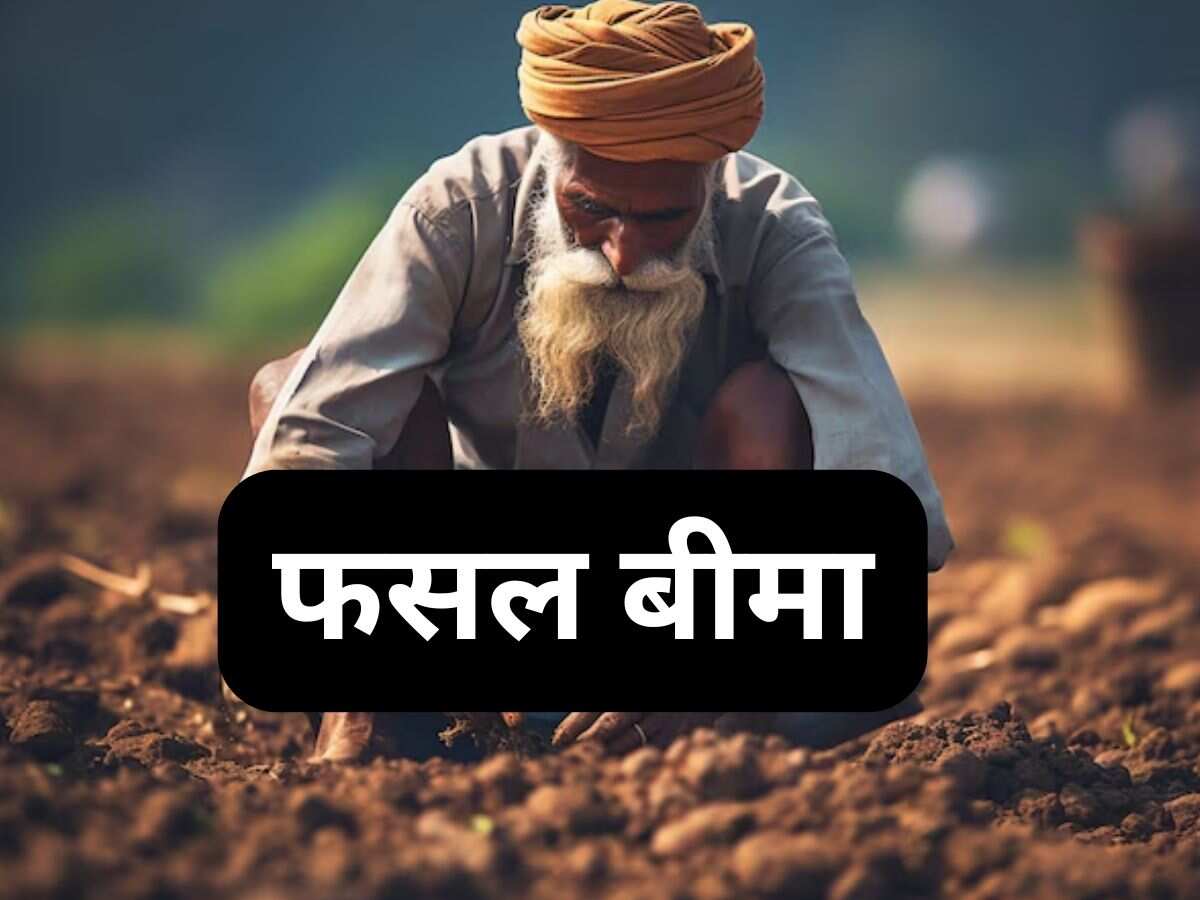 किसानों को राहत! यहां फसल बीमा कराने की अंतिम तारीख बढ़ी, जानें अब कब तक करा सकेंगे रजिस्ट्रेशन