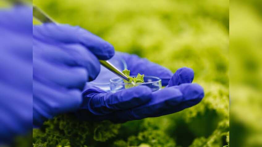 कितनी मिलेगी सब्सिडी