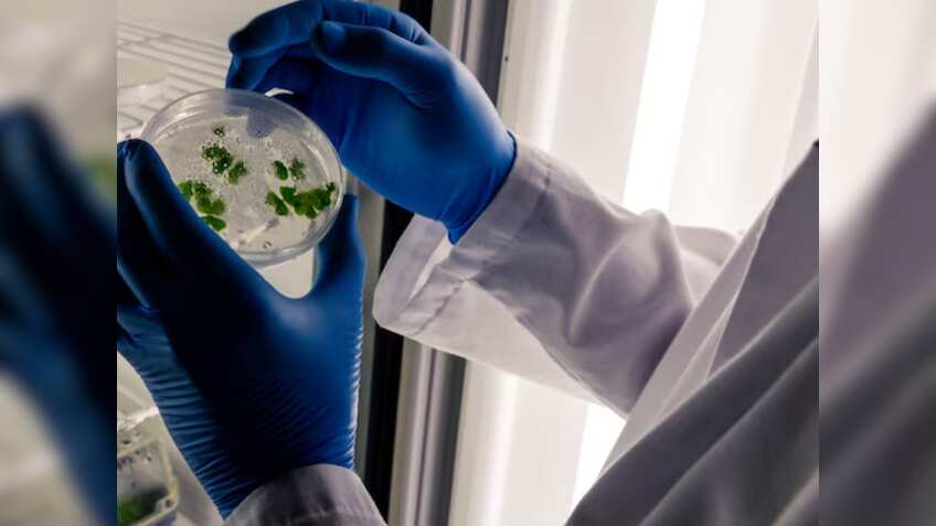 2 टिश्यू कल्चर लैब की स्थापना