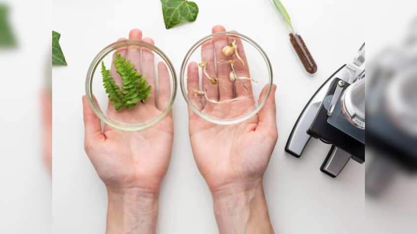 टिश्यू कल्चर तकनीक के फायदे