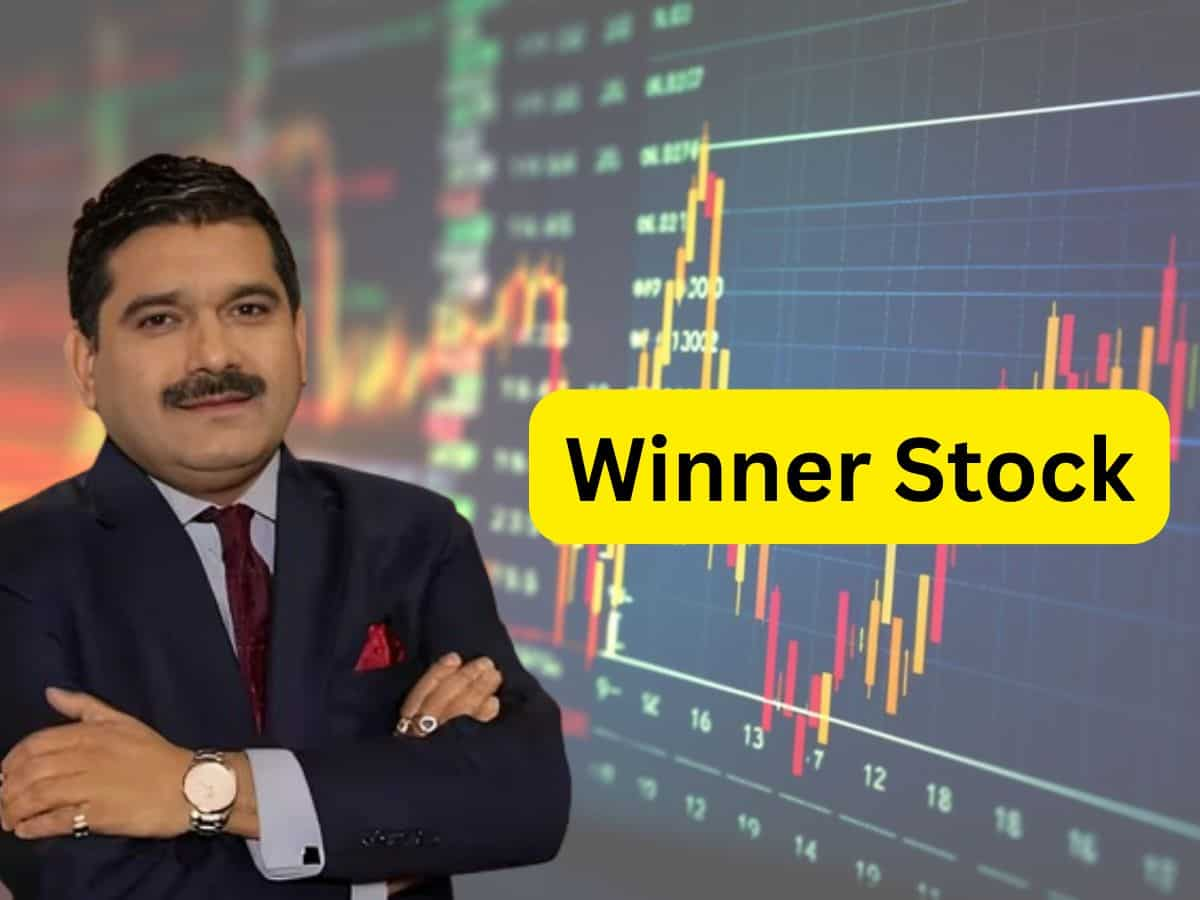 Winner Stock: 1-2 साल में 'रॉकेट' बनेगा ये Pharma Stock, Anil Singhvi ने 70% तक अपसाइड के दिए टारगेट