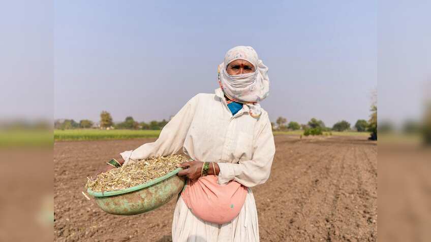 ग्वार की फसल को नुकसान पहुंचाता है फंगस रोग, जानें रोकथाम के उपाय