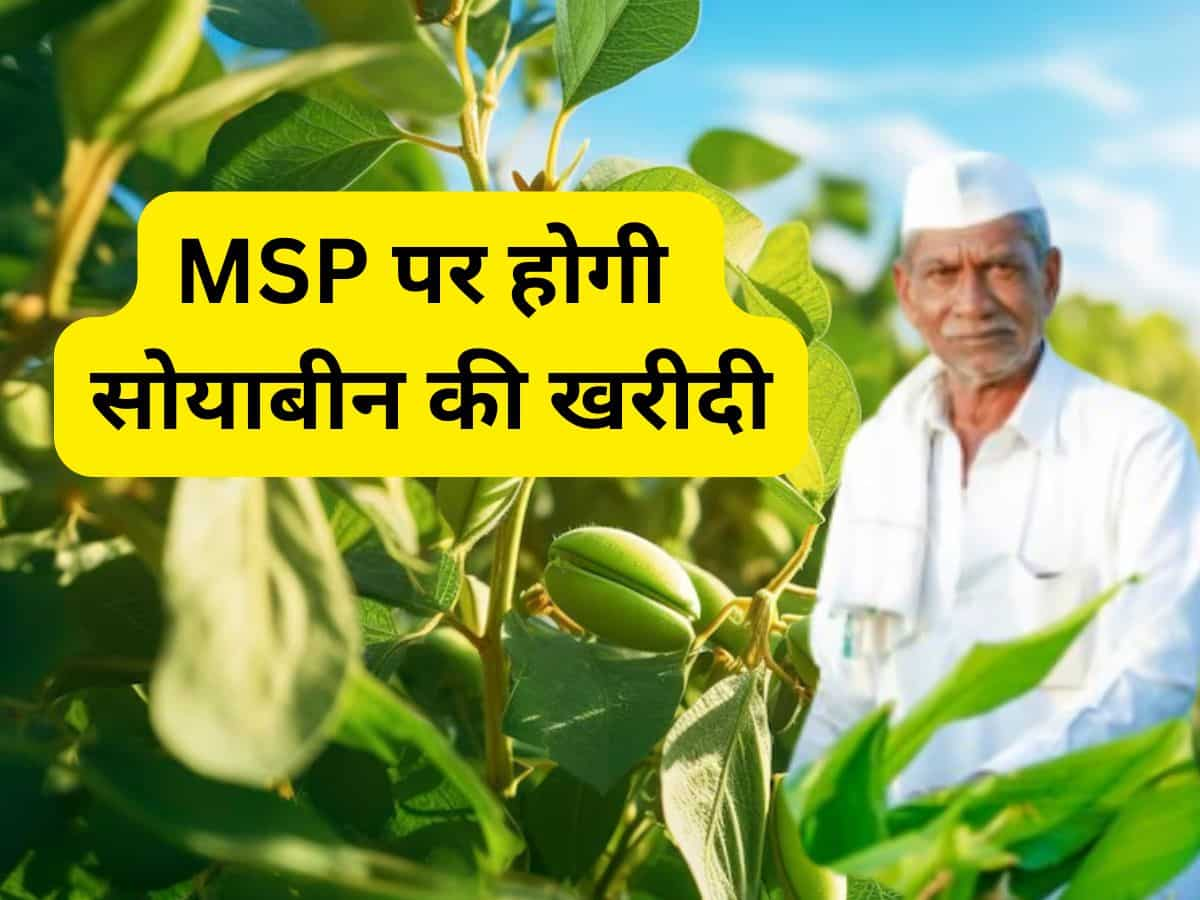 सरकार का बड़ा फैसला, इन तीन राज्यों में MSP पर होगी सोयाबीन की खरीद