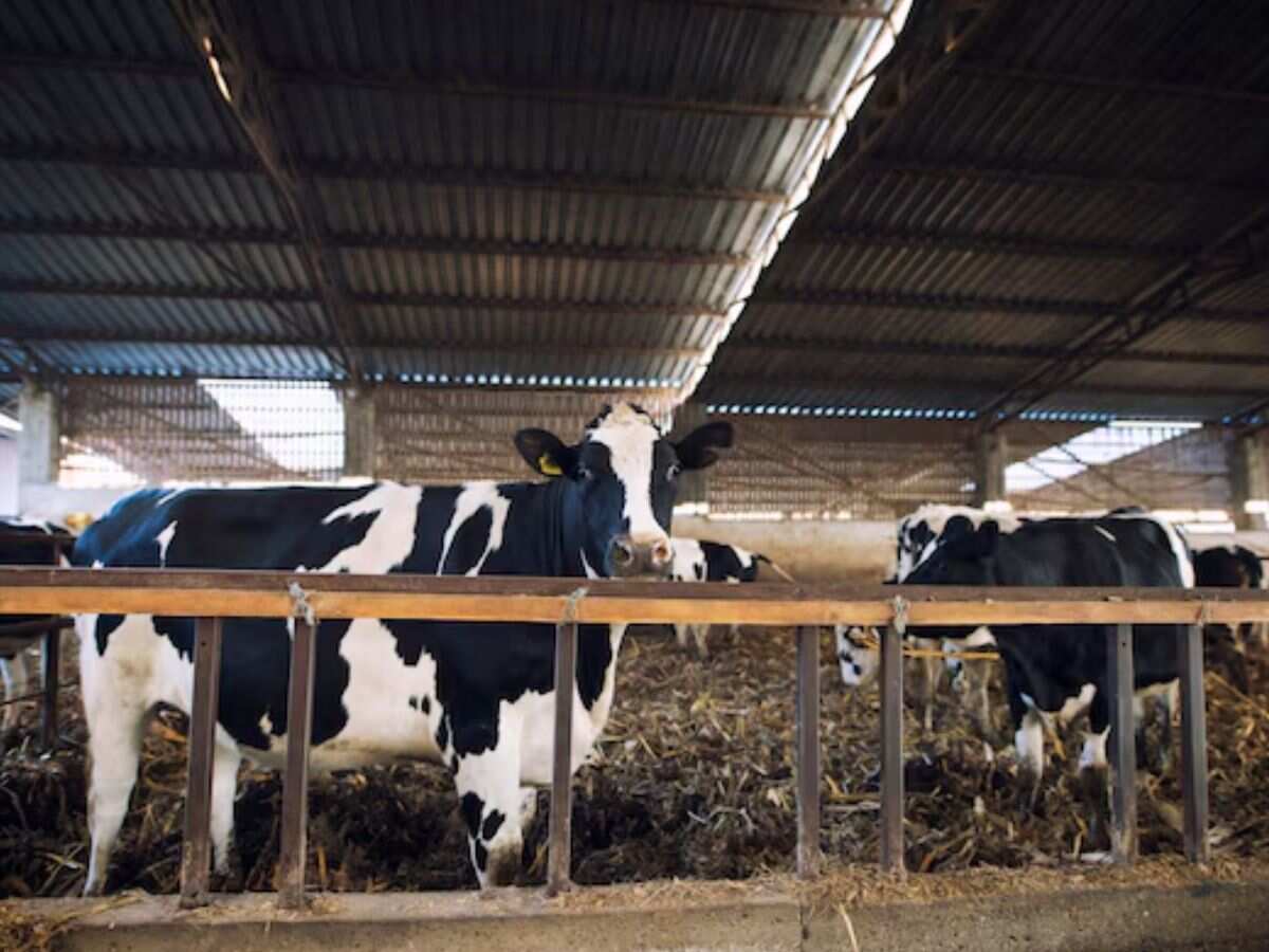 BL Agro की सब्सिडियरी ने स्वीडन की कंपनी के साथ की भागीदारी, डेयरी सेक्टर में करेगी ₹1,500 करोड़ निवेश