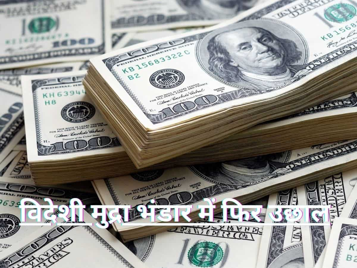 लगातार पांचवें हफ्ते बढ़ा Forex Reserves, 700 बिलियन डॉलर बहुत जल्द