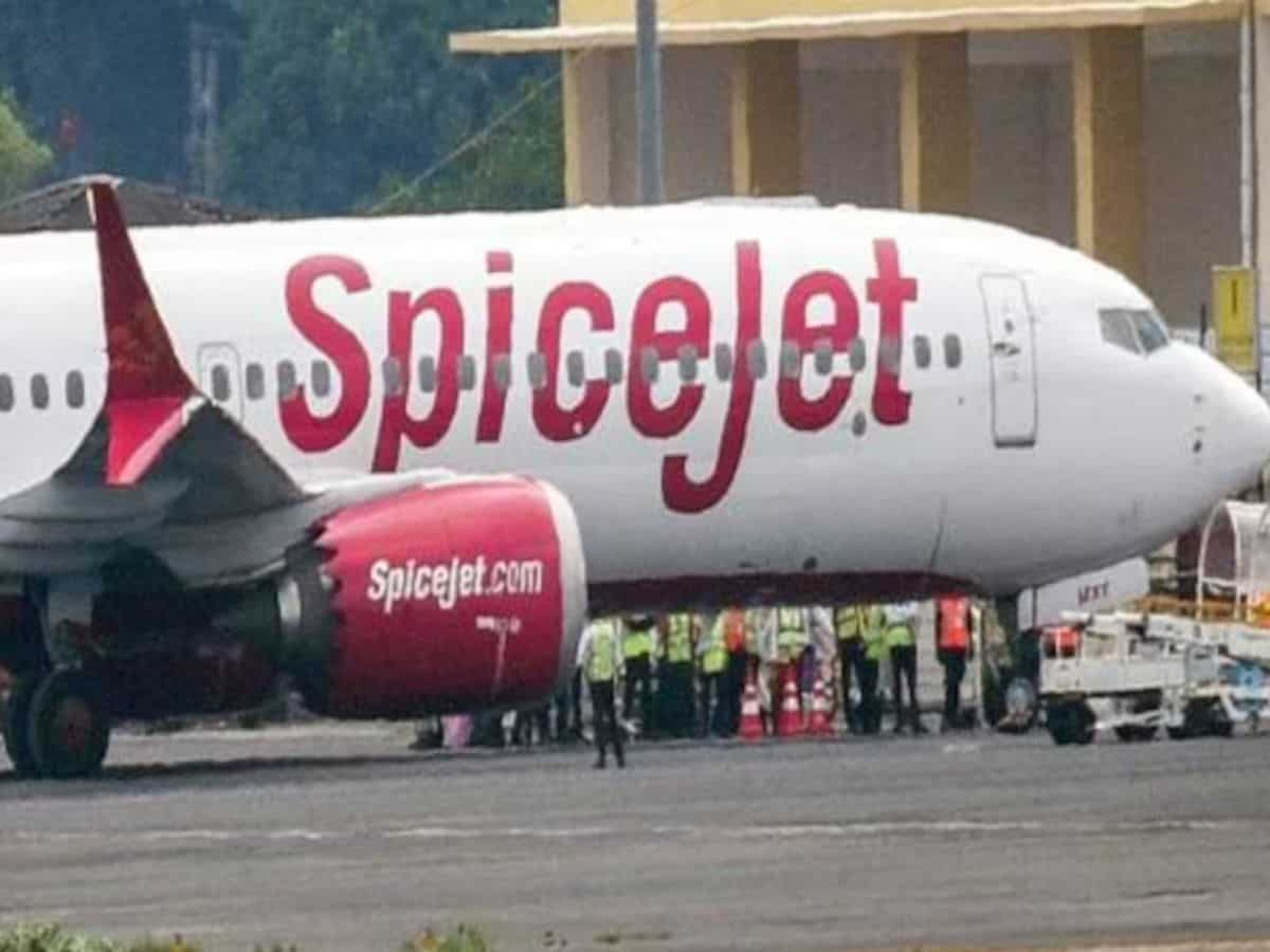 SpiceJet के शेयरों ने भरी उड़ान, नकदी संकट से जूझ रही कंपनी ने QIP से जुटाए ₹3,000 करोड़, 10% चढ़ा स्टॉक