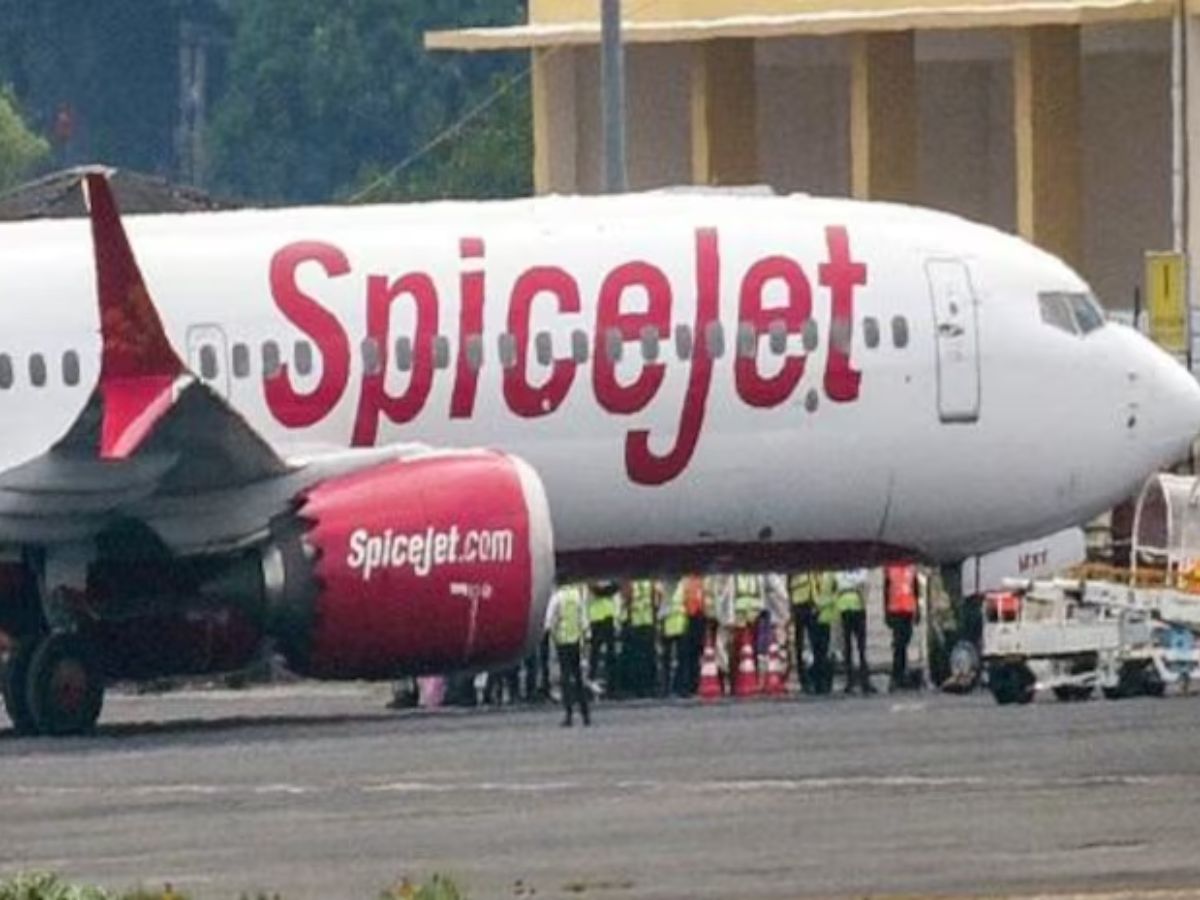 SpiceJet के शेयरों ने भरी उड़ान, नकदी संकट से जूझ रही कंपनी ने QIP से जुटाए ₹3,000 करोड़, 10% चढ़ा स्टॉक