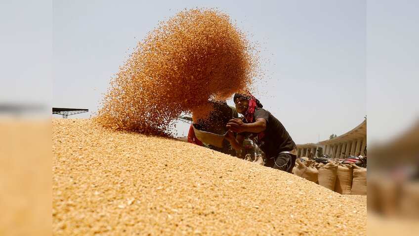 गेहूं की कालाबाजारी रोकने के लिए सरकार ने लगाई स्टॉक लिमिट, नियम तोड़ने पर होगी कड़ी कार्रवाई