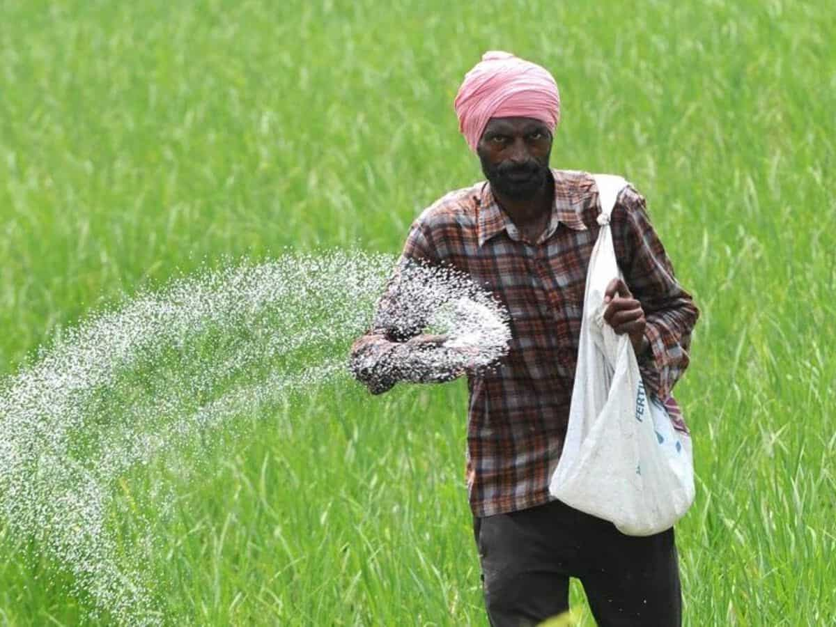 Fertiliser Stock मचाएगा धमाल, 2 महीने में रिटर्न से भरेगा अकाउंट