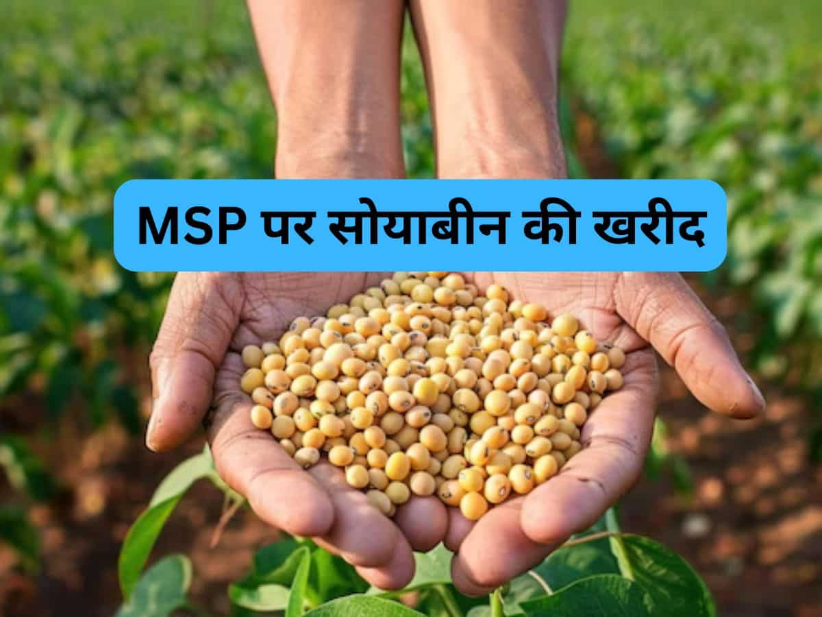 सोयाबीन फसल के लिए रजिस्ट्रेशन शुरू, 1400 केंद्रों पर किसानों से MSP पर होगी 13.68 लाख मीट्रिक टन खरीद