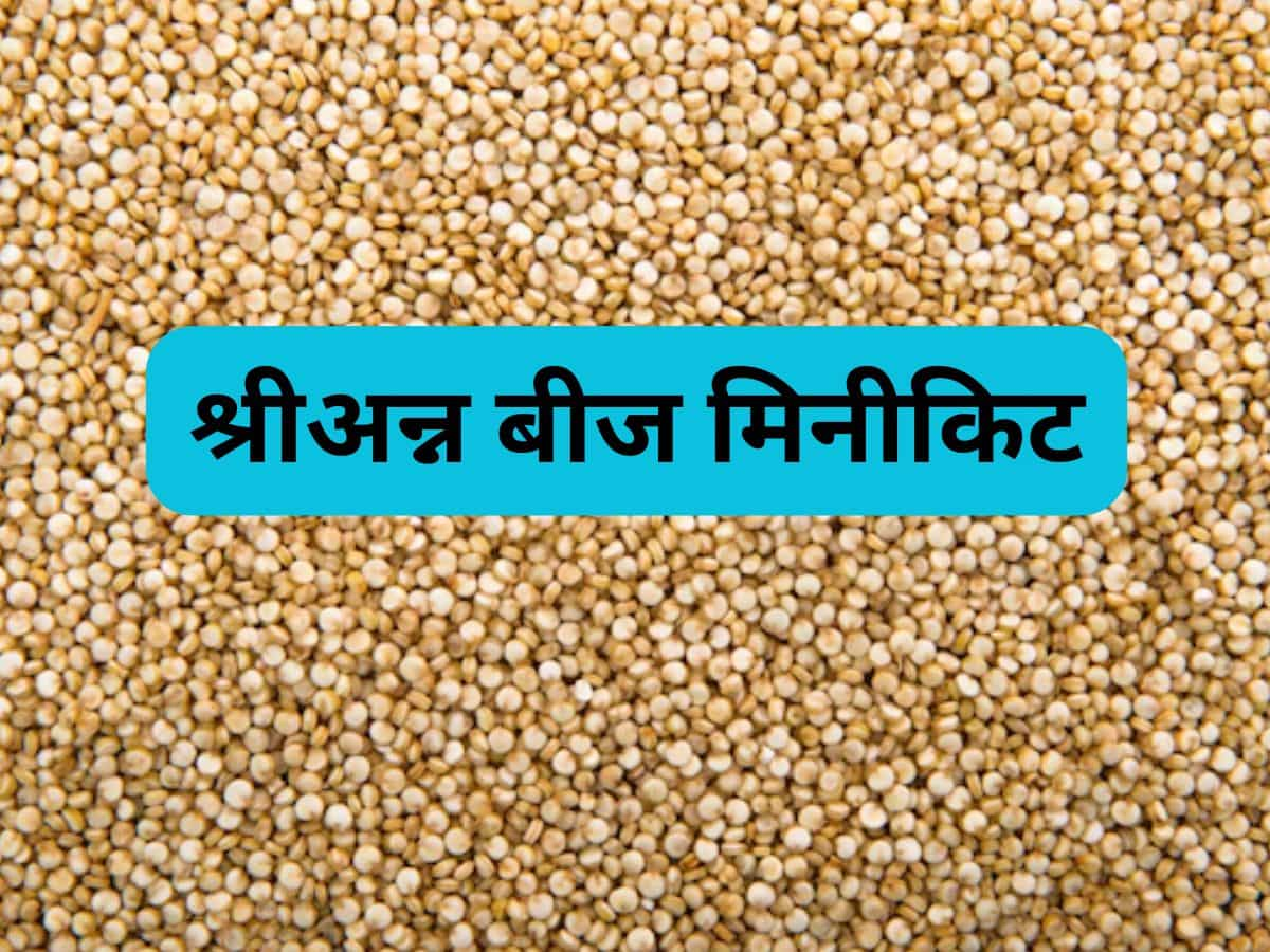 मोटे अनाज की खेती को बढ़ावा, सरकार ने 24 लाख महिलाओं किसानों को बांटे फ्री बीज मिनीकिट