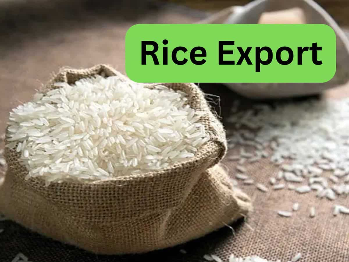 Rice Export: सरकार ने गैर-बासमती सफेद चावल पर 490 डॉलर प्रति टन का MEP लगाया