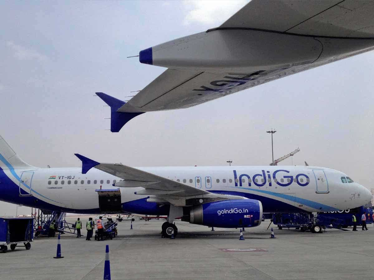 Indigo की हवाई सेवा पर लगा ब्रेक, सर्वर डाउन से यात्री परेशान, एयरपोर्ट्स में बुकिंग और चेक इन के लिए लंबी लाइन