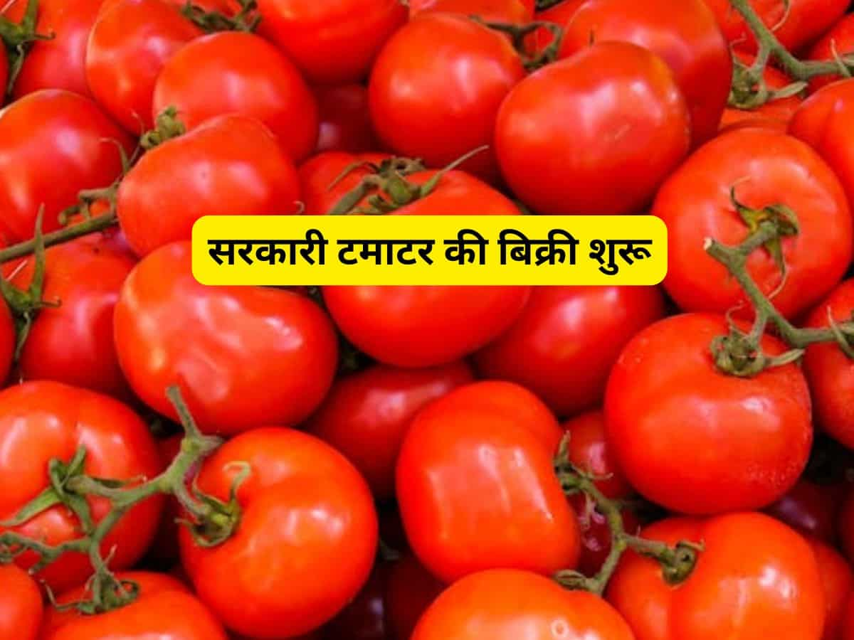 Tomato Prices: सरकारी टमाटर की बिक्री शुरू, 50 जगहों पर 65 रुपये किलो मिल रहा