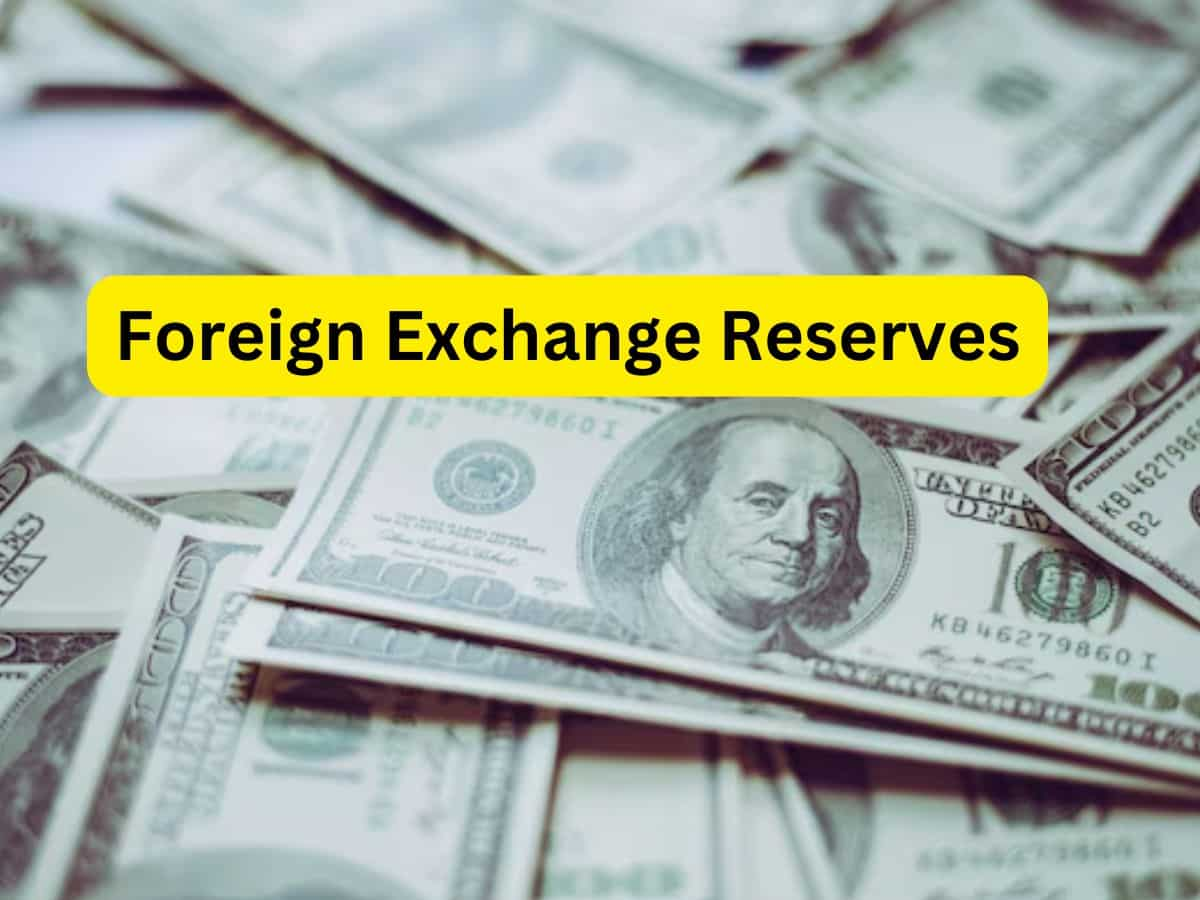 Forex Reserves: 8 हफ्ते में पहली बार विदेशी मुद्रा भंडार घटा, अब रह गया इतना