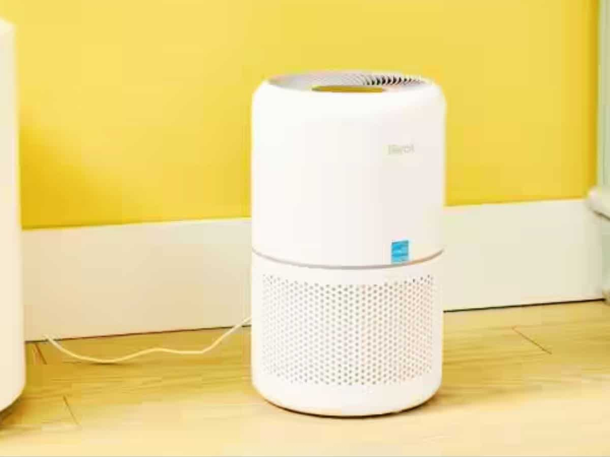 Air Purifiers की क्‍वालिटी को लेकर गंभीर हुई सरकार, कंपनियों को दी सख्‍त हिदायत, घटिया पाया गया फिल्‍टर तो....