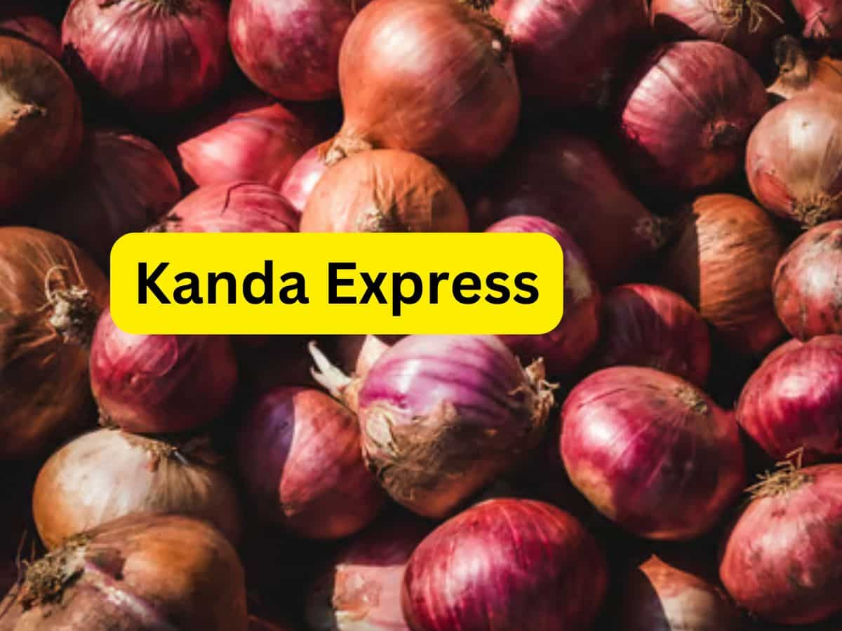 Onion Prices: दिवाली से पहले महंगे प्याज से मिलेगी राहत, आज दिल्ली पहुंचेगी 'कांदा एक्सप्रेस'