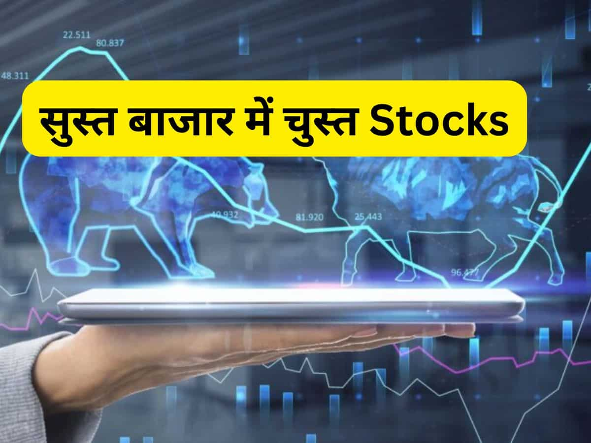 सुस्त बाजार में चुस्त Stocks जहां  दिख रही है तेजी, शॉर्ट टर्म निवेशक मुनाफे के लिए हो जाएं तैयार