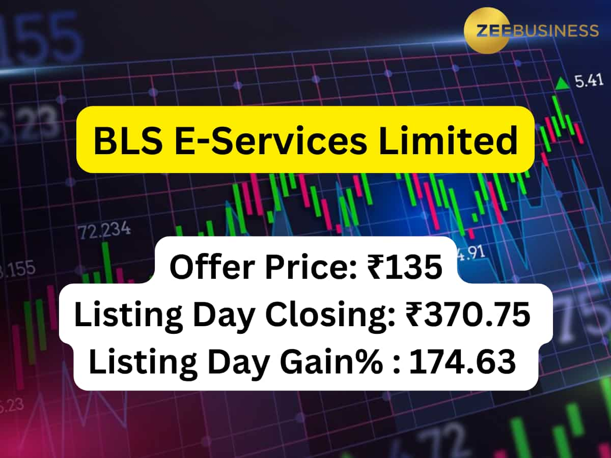 BLS E-Services Limited