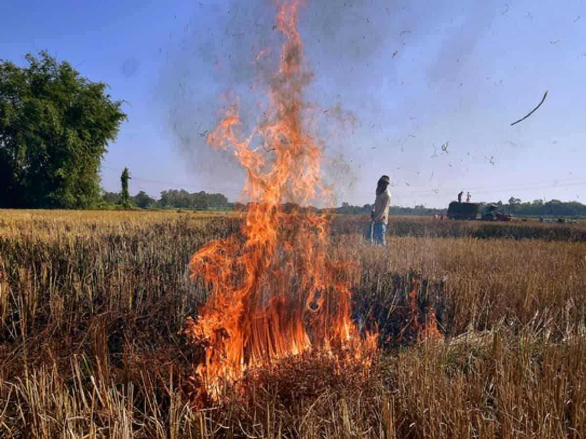 Pollution in Delhi: दिल्‍ली-एनसीआर में पराली जलाने वालों पर सरकार ने बढ़ाई सख्‍ती, देना होगा 30 हजार तक जुर्माना