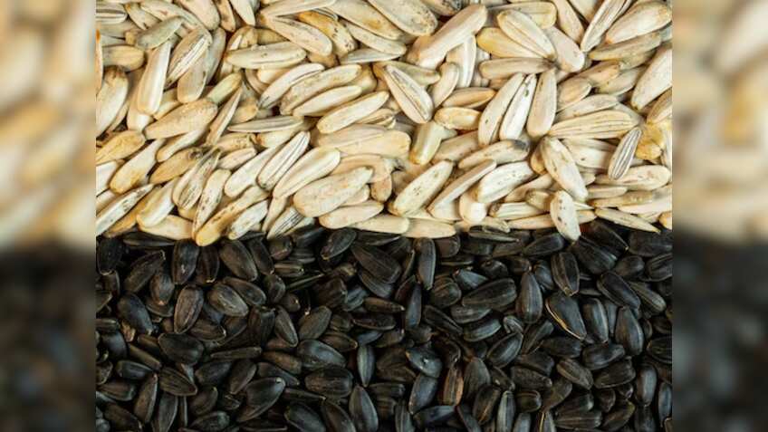 किसानों के लिए खुला कमाई का रास्ता, अब बीज उत्पादन से बढ़ेगा मुनाफा, सरकार देगी सब्सिडी