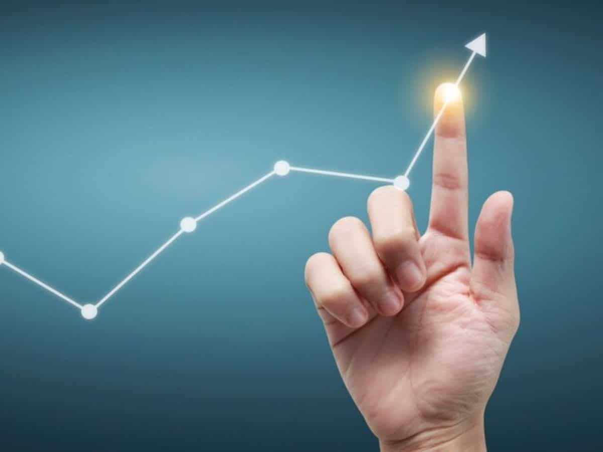 Thyrocare Share Price Target