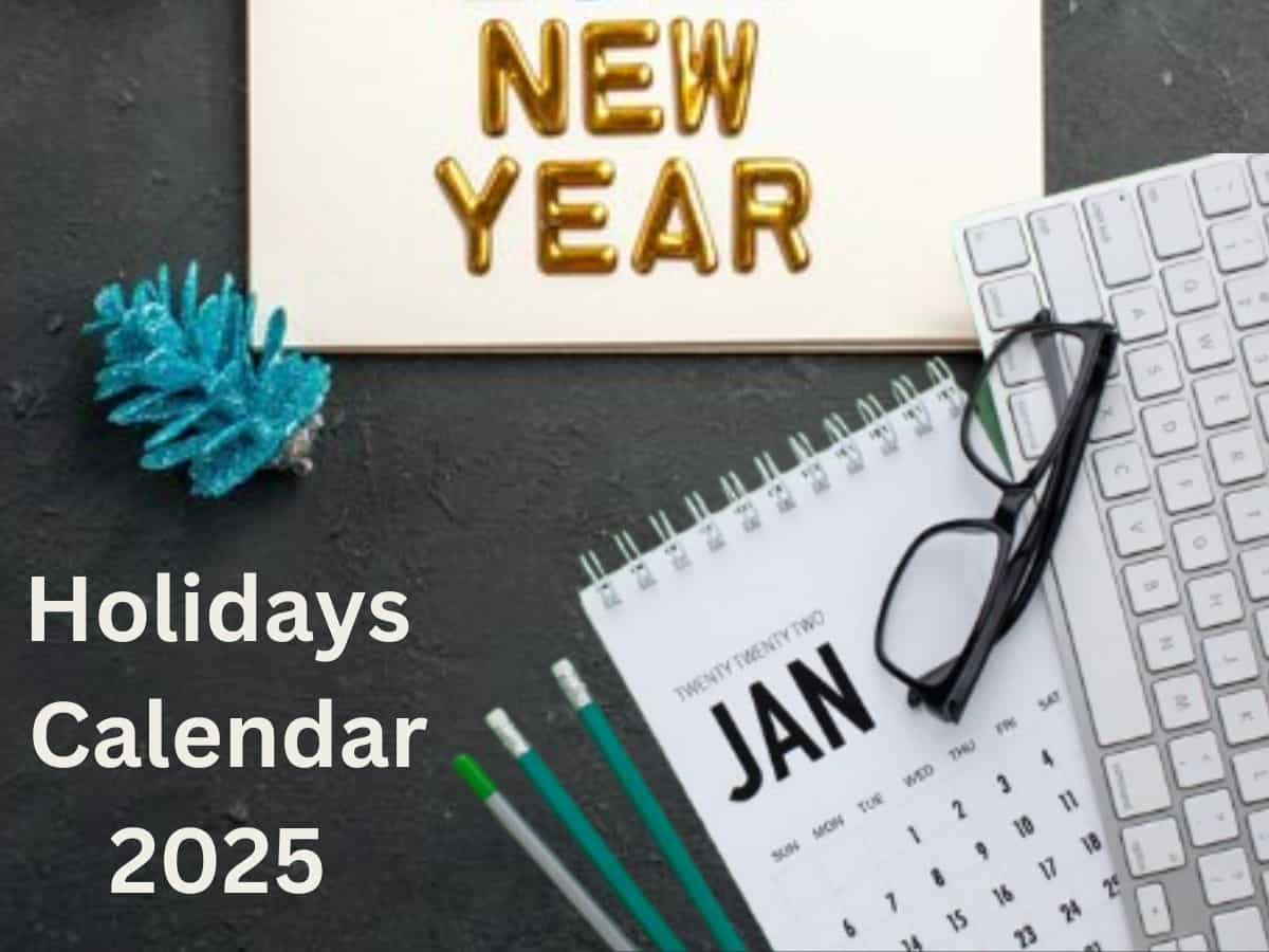 Holidays Calendar 2025: अगले साल दिल्‍ली के दफ्तरों में कितने दिन रहेगी सरकारी छुट्टी, देखें ले पूरी लिस्‍ट