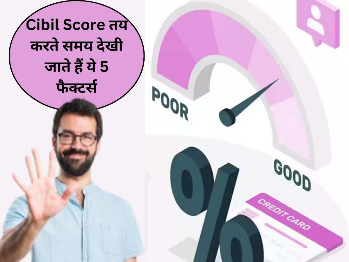 Cibil Score कैलकुलेट करते समय देखी जाती हैं ये 5 चीजें, ये बात अगर समझ ली तो लोन लेने के लिए कभी नहीं होंगे परेशान