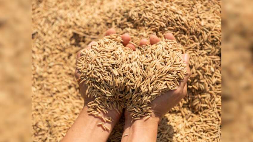 बिहार में धान खरीद की रफ्तार धीमी, पैक्स चुनाव और कटाई की बनी बड़ी वजह