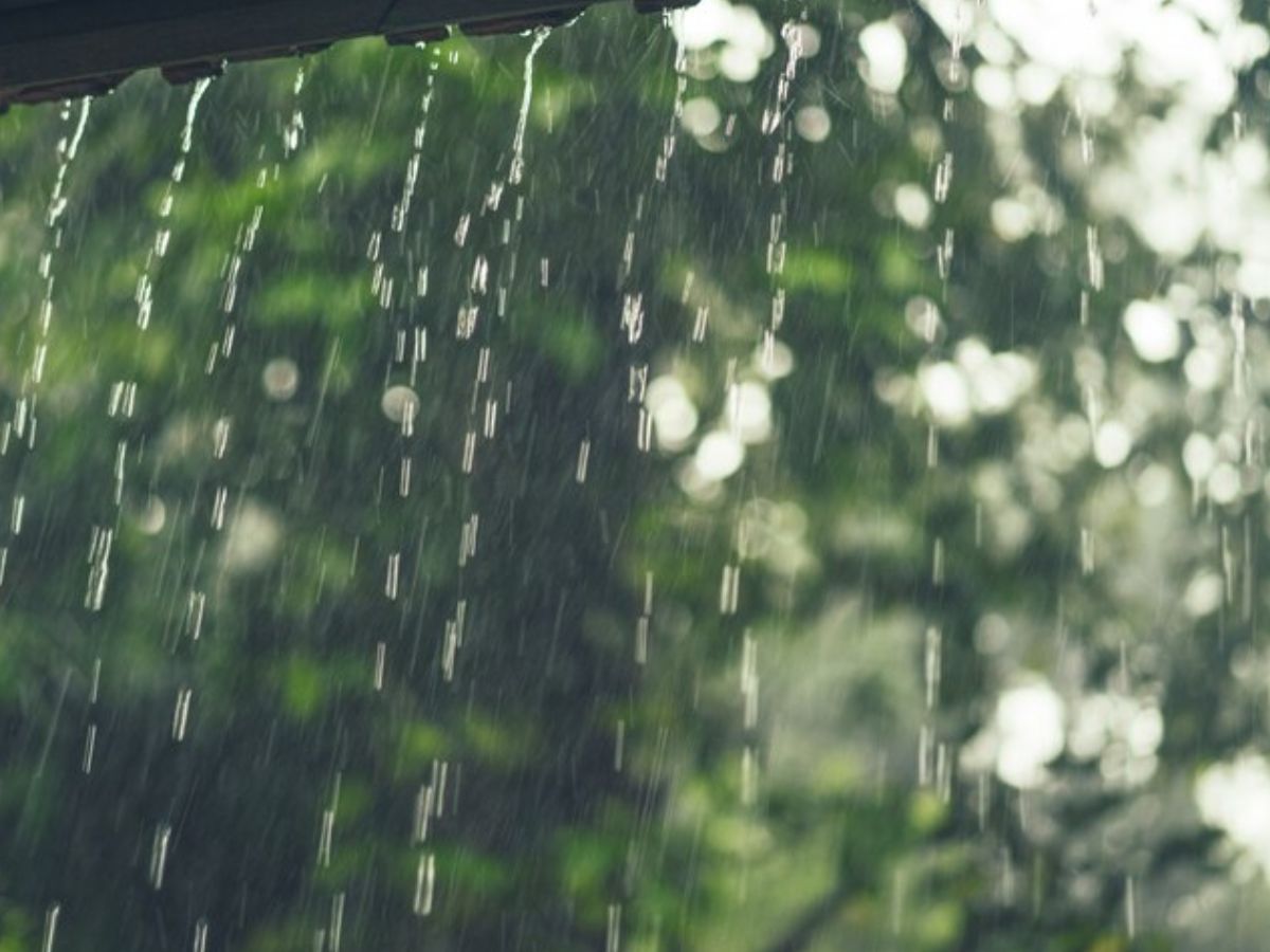 दिल्ली में प्रदूषण को कंट्रोल करने के लिए Artificial Rain की डिमांड, पर्यावरण मंत्री गोपाल राय ने केंद्र सरकार को लिखी चिट्ठी